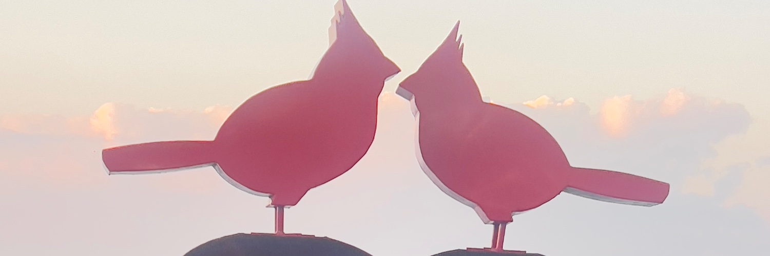 Yuisavil's profile banner image