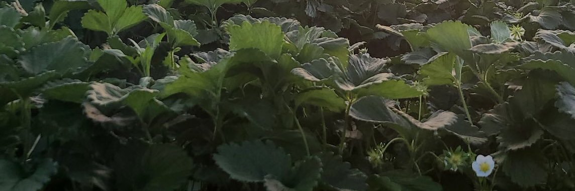 ovtmodesxa's profile banner image