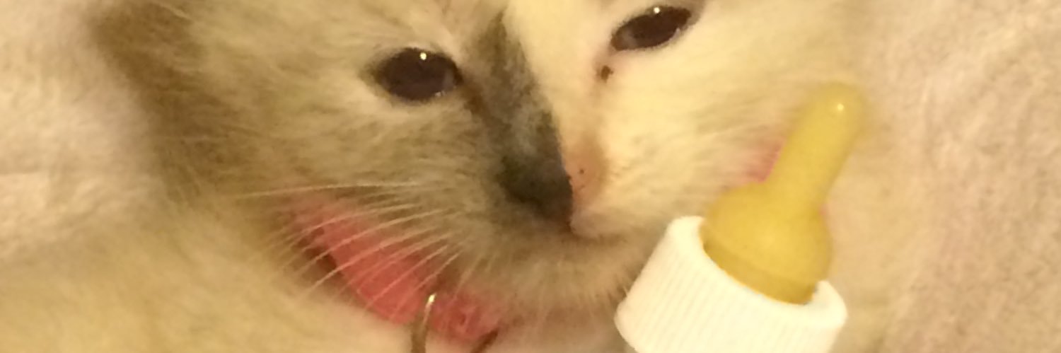 timexmiller43's profile banner image