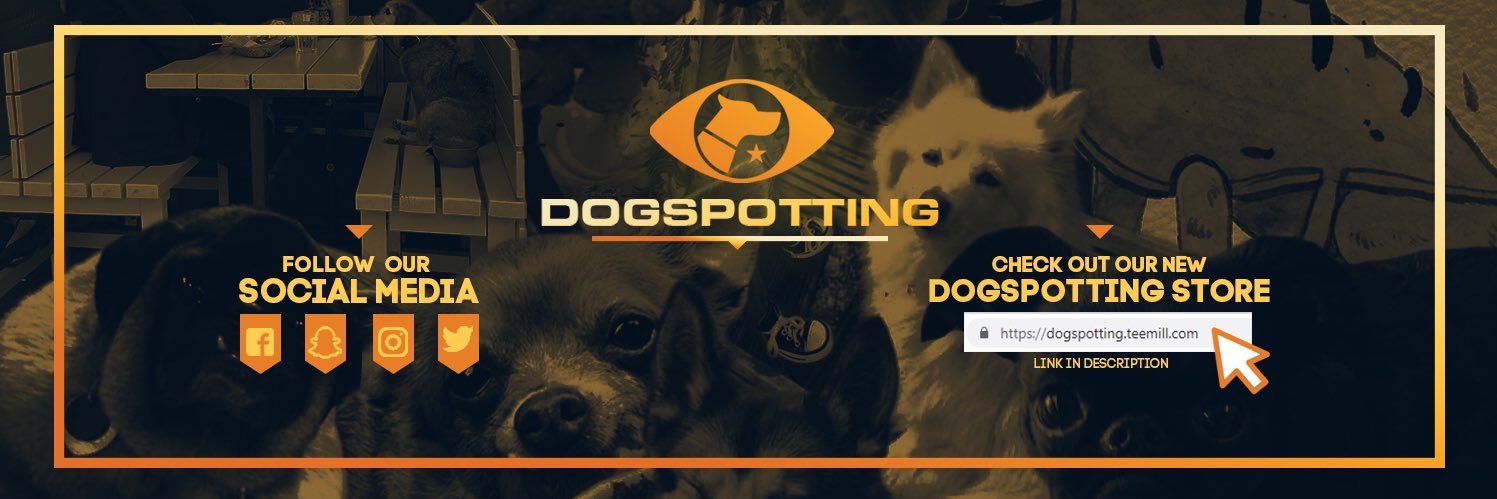 Dogspotting 🐶📸 banner