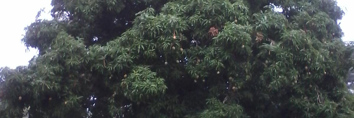 sbaliddawa's profile banner image