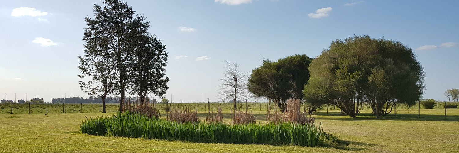 marcosmarando's profile banner image