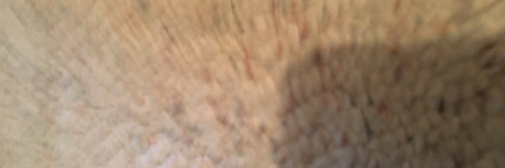 Nob0dyatall's profile banner image