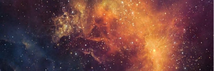Lynx_611's profile banner image