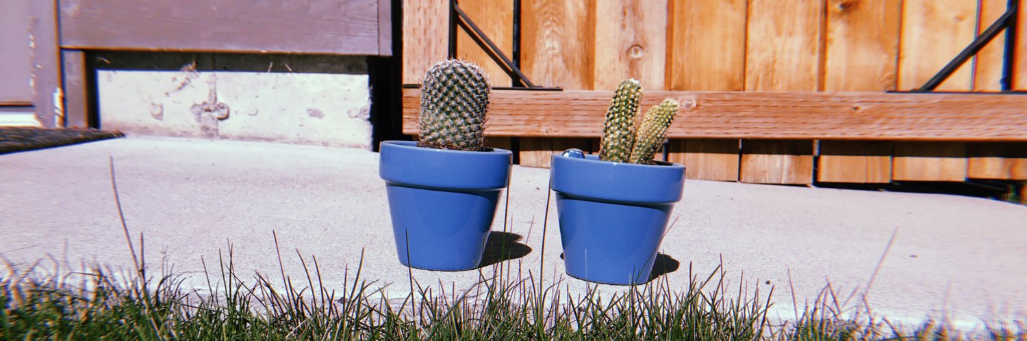 hannahrients's profile banner image