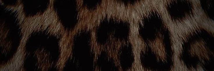 franxcss's profile banner image