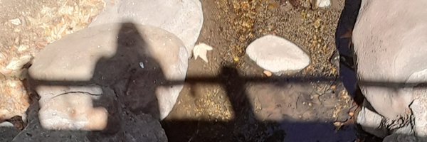 SRCExplores Profile Banner