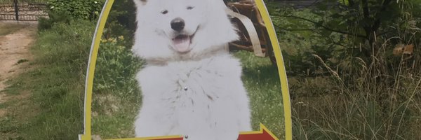 miryanka2007 Profile Banner
