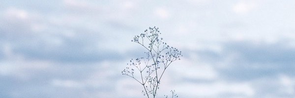 ryontaEx Profile Banner