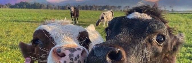 mardyburn_'s profile banner image