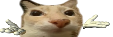 𝑾𝒊𝒍𝒍𝒂 banner