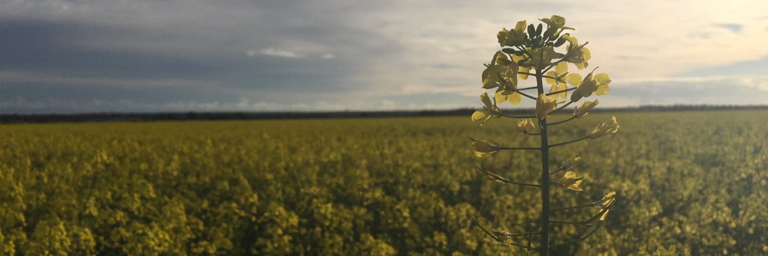 tropomatt's profile banner image