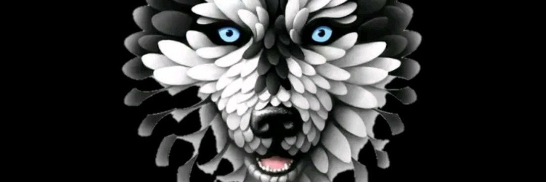 aleeyukmc's profile banner image