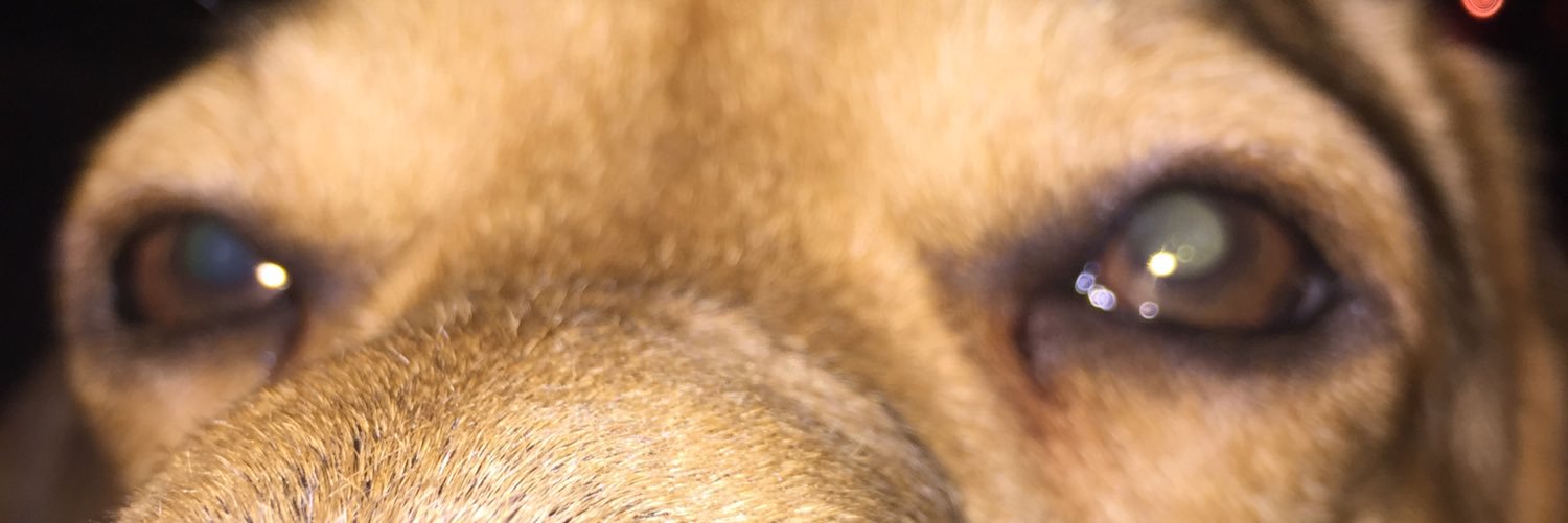 dwrighten4's profile banner image