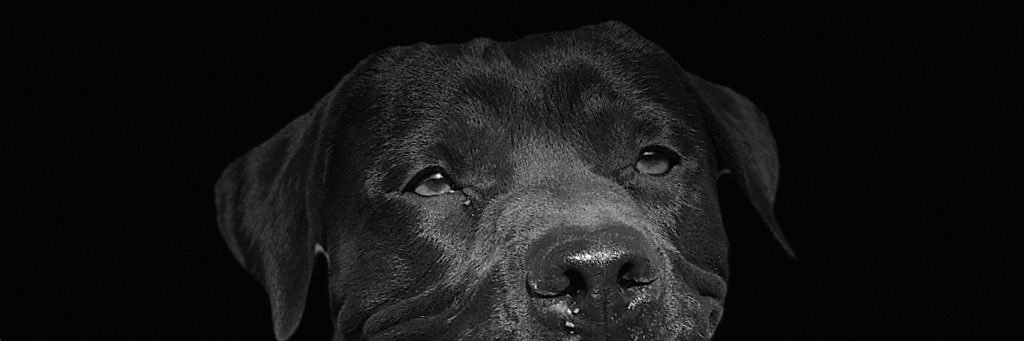 Gopar_89's profile banner image