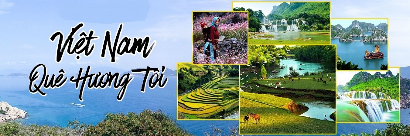Tungdv2019's profile banner image