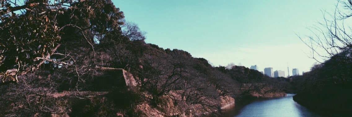lilyflanders_'s profile banner image