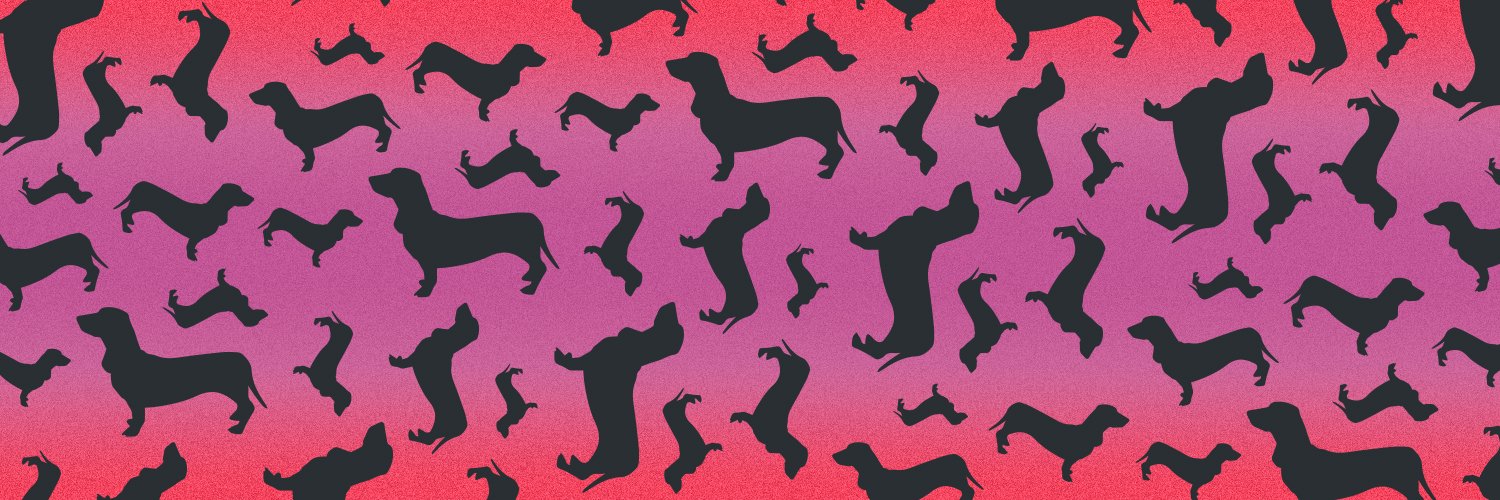 SandyTirpak's profile banner image