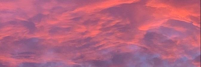 alyymr's profile banner image