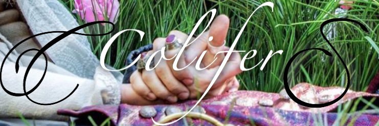hooker_for_once's profile banner image