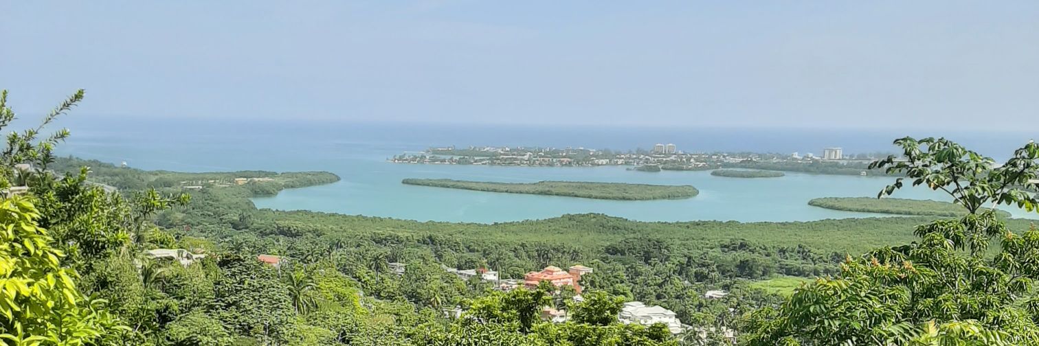 One-Don Kenobi banner