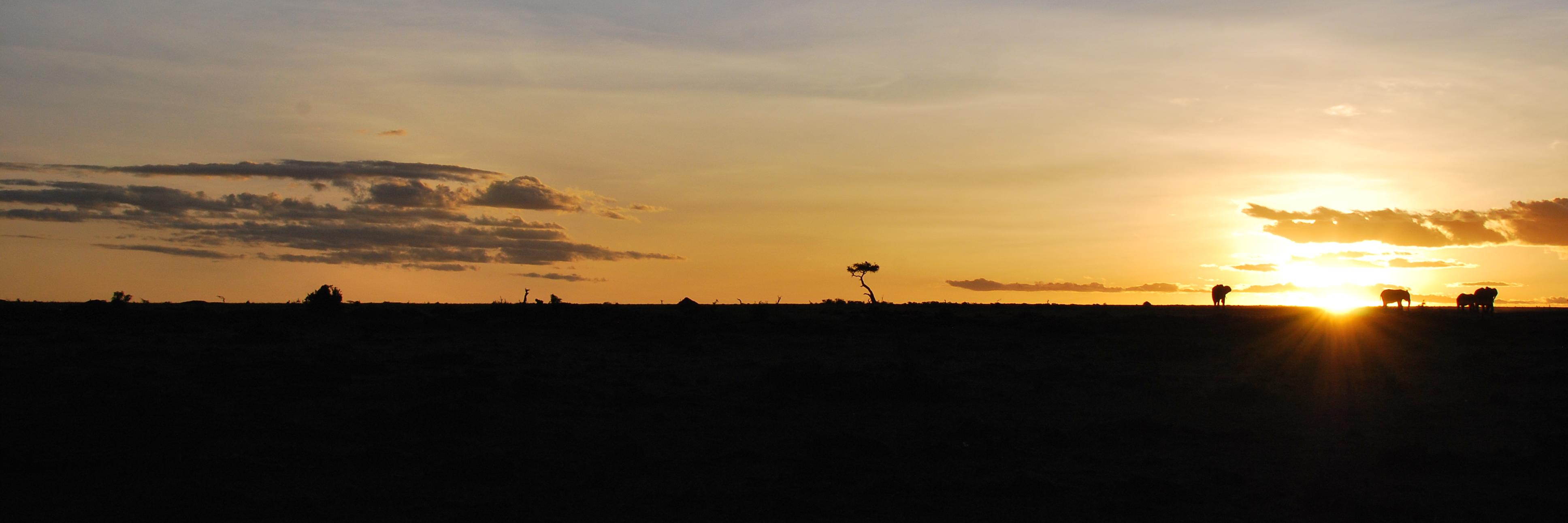 hiki_max's profile banner image