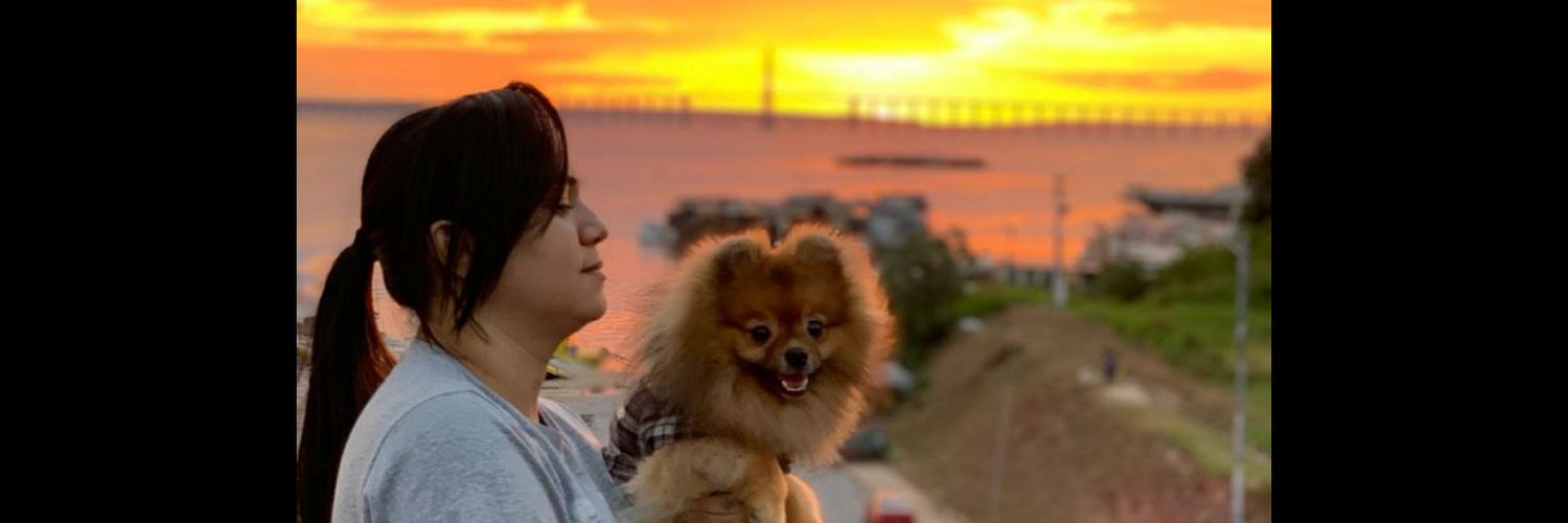_bvidall's profile banner image