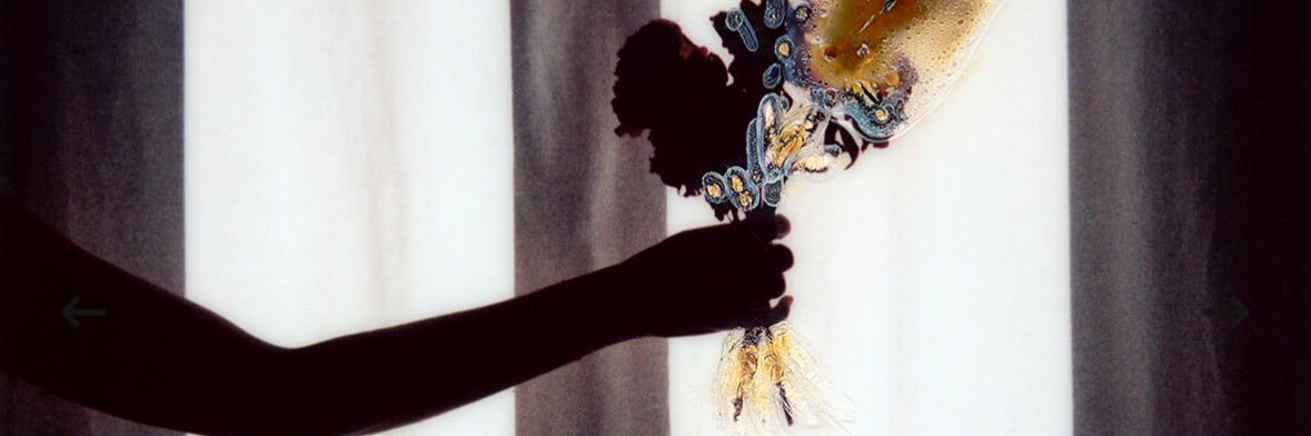 Rodrigo de Sousa banner