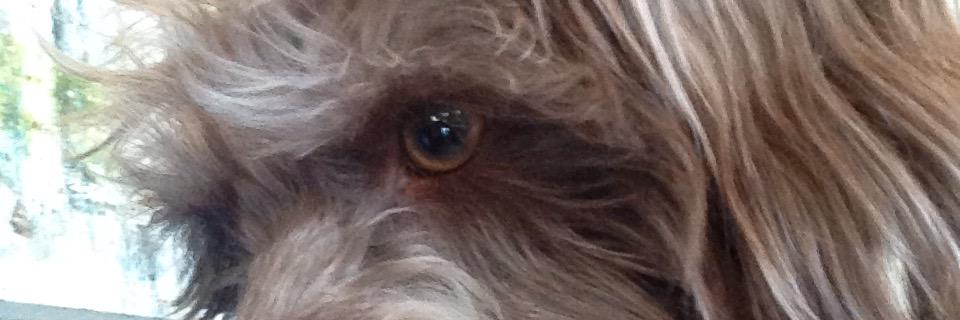 RyanEberwein's profile banner image