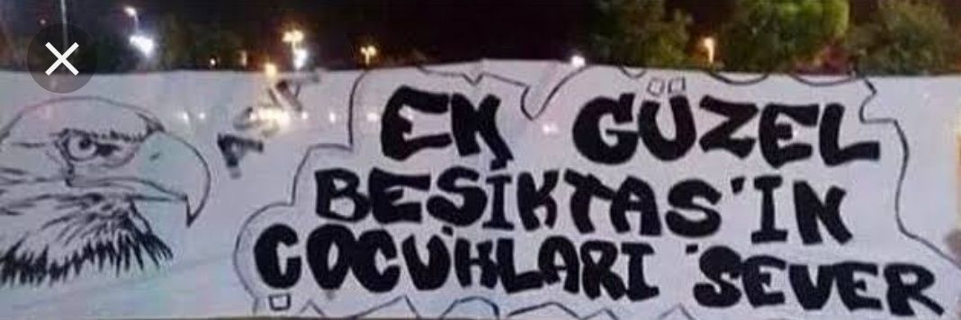 doğan banner