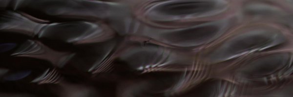mariplasma Profile Banner
