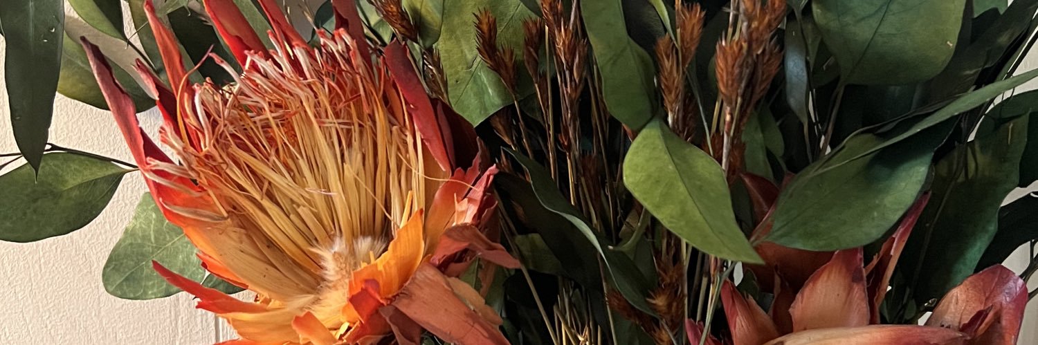 daniellealiya's profile banner image