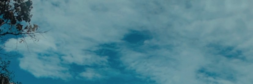kopsumilo banner