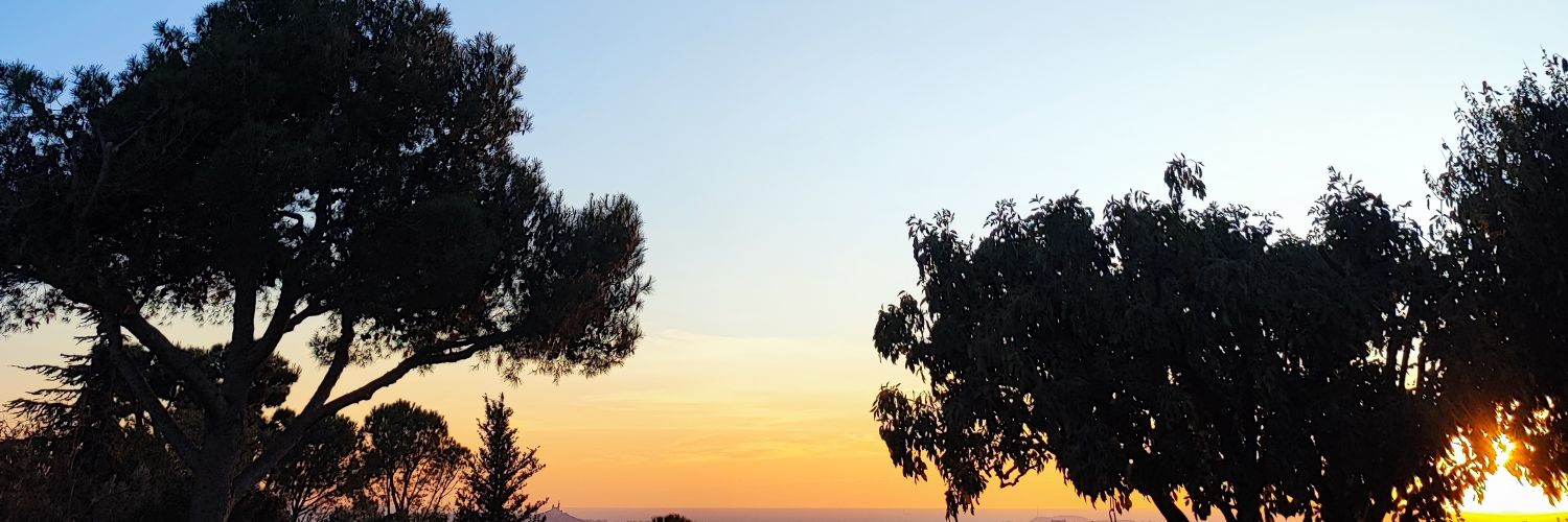 Emmanuel_Carre's profile banner image