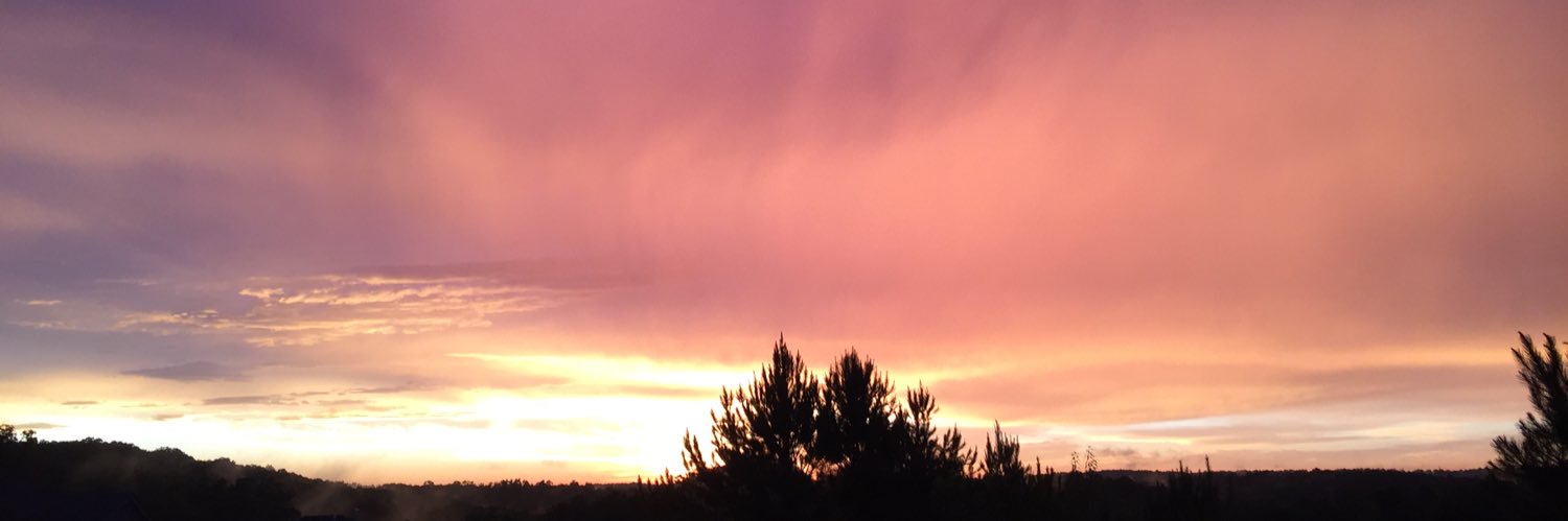 DeniseWanamaker's profile banner image