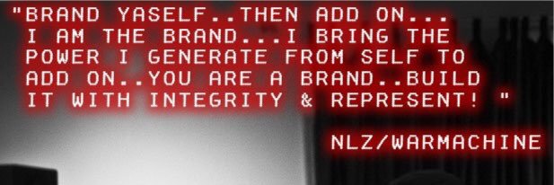NLZ banner