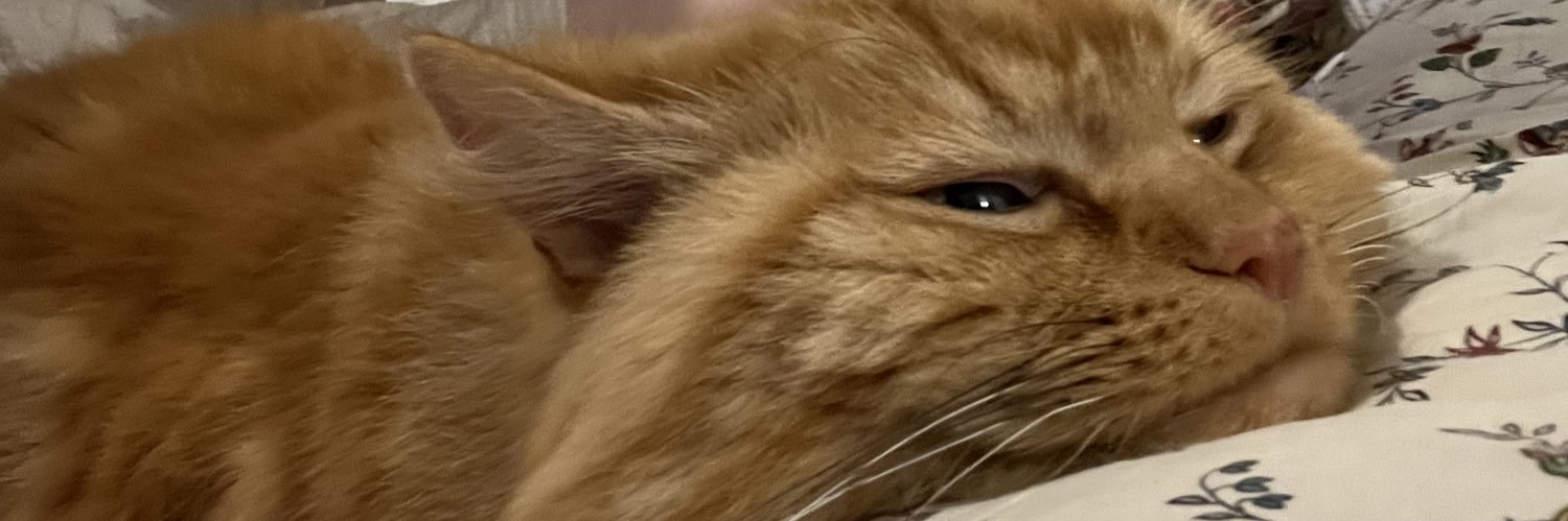 Abbie Procter banner