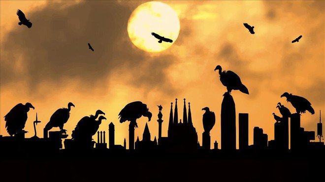 JMCayero's profile banner image