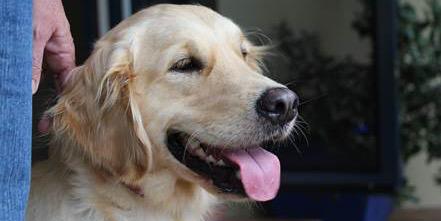 Sandy 🇺🇦🇵🇸 banner