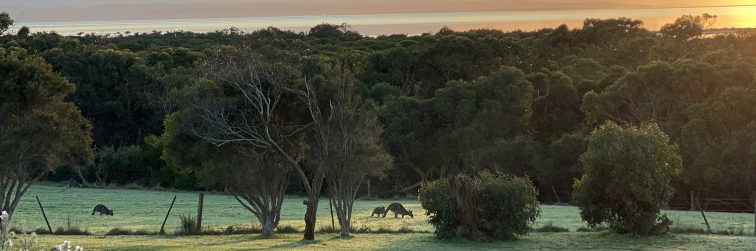 FrivolousPosts's profile banner image