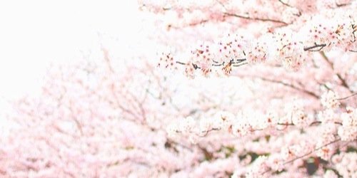 Natassjasfr's profile banner image