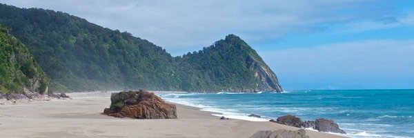 DrewWhitworth1 Profile Banner