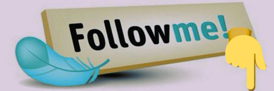 Allysonmaresca's profile banner image