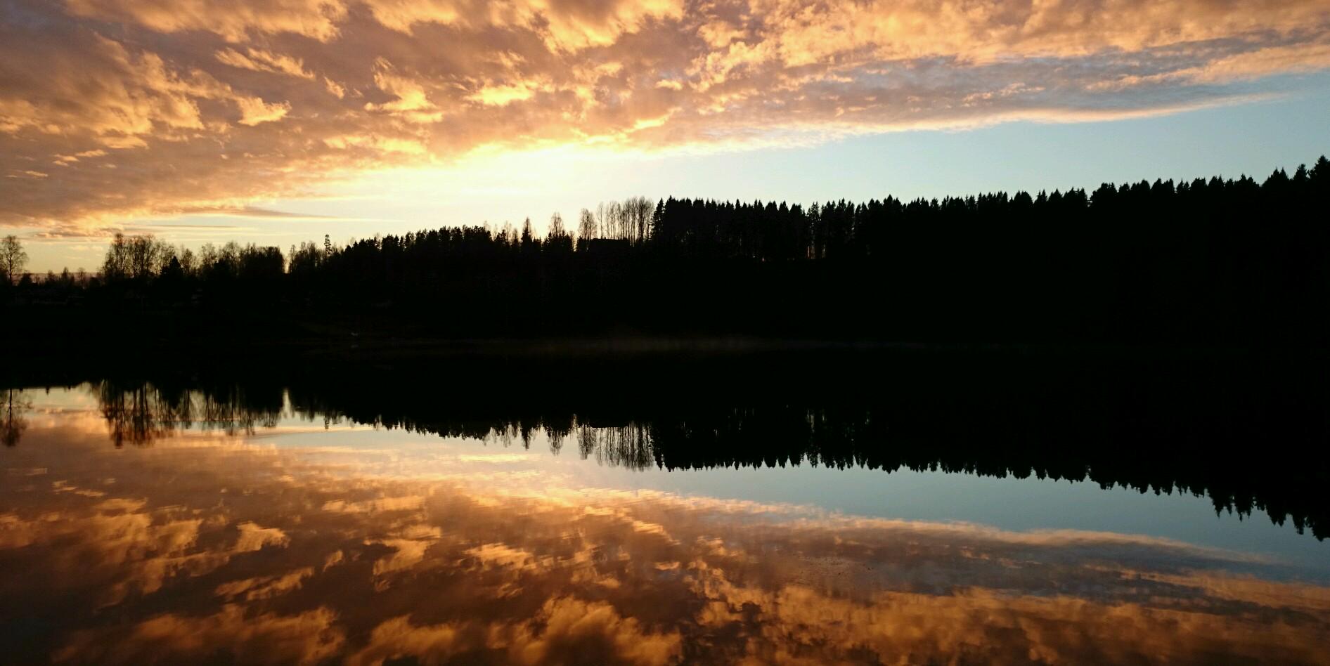 frshgrass's profile banner image