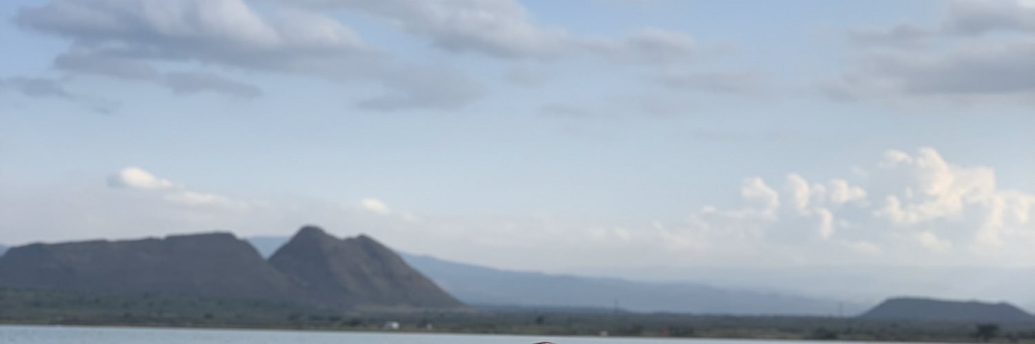 honesty_4's profile banner image