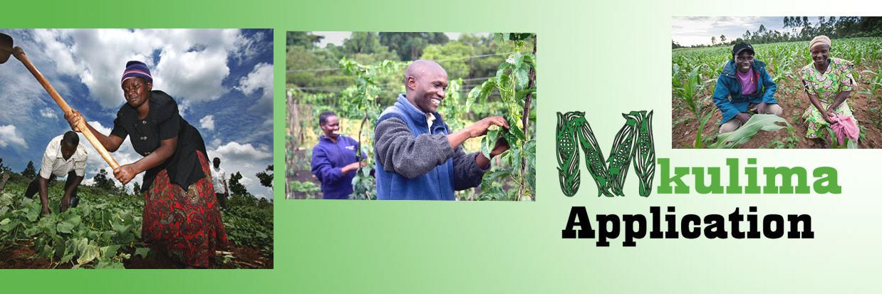 mkulimaapp's profile banner image