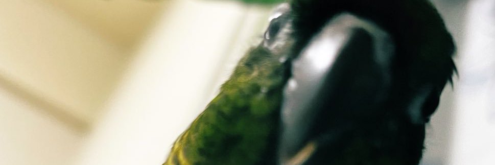 trtora_4's profile banner image