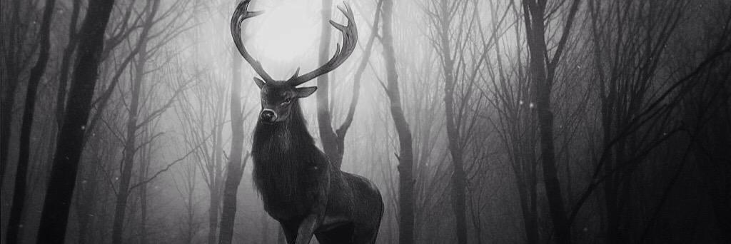 renanbezerra's profile banner image
