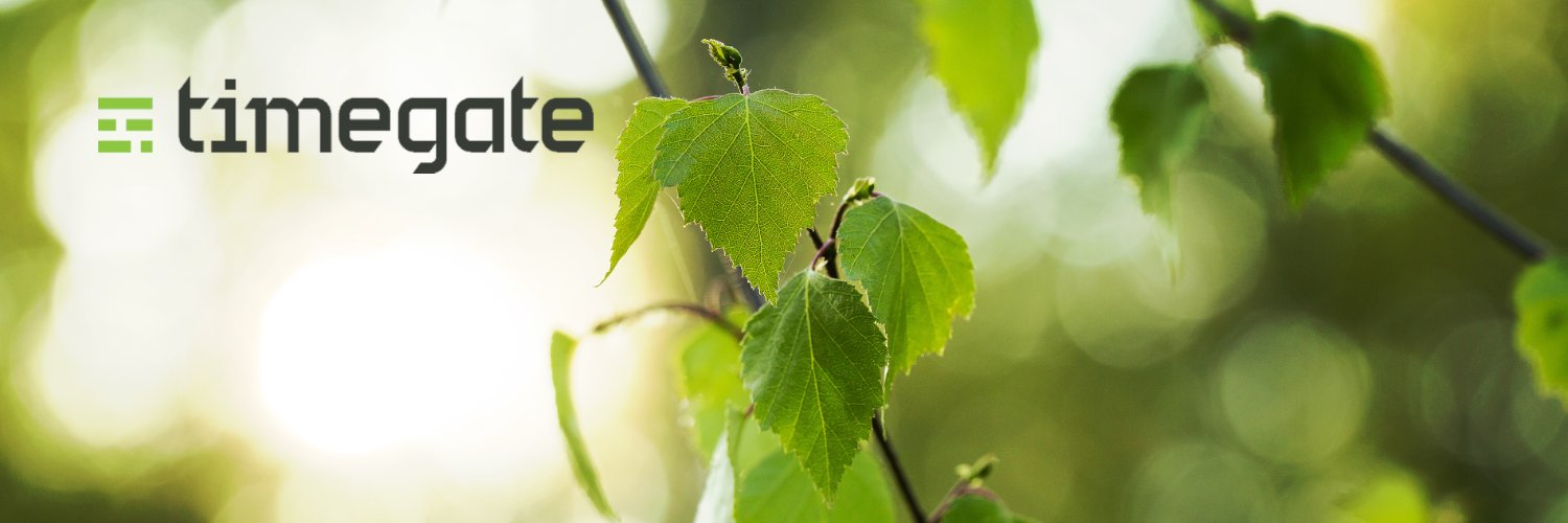 Timegate Instruments banner