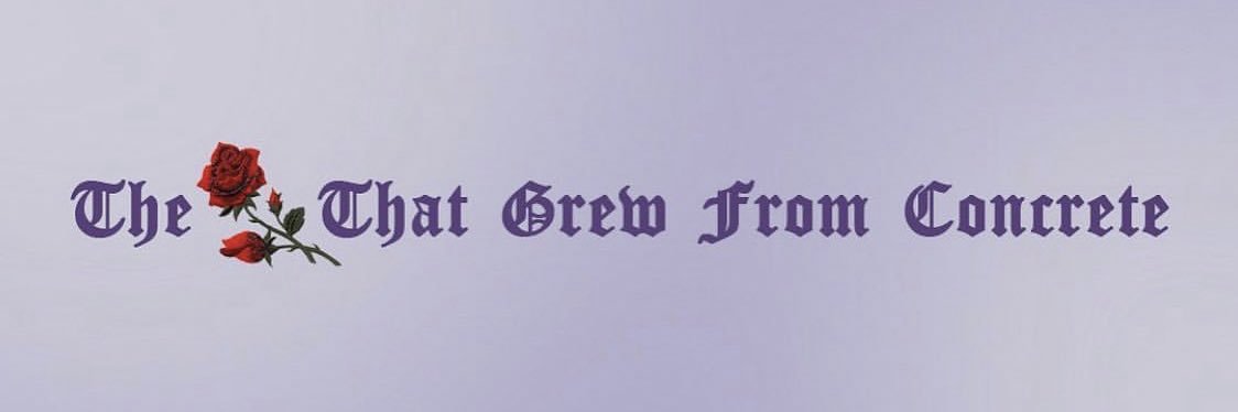 olgamtorres's profile banner image